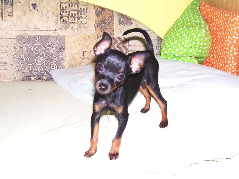 Foto: Kuk na S�rinku:) 3-m�s.-Kuk na S�rinku:) 3-m�s.