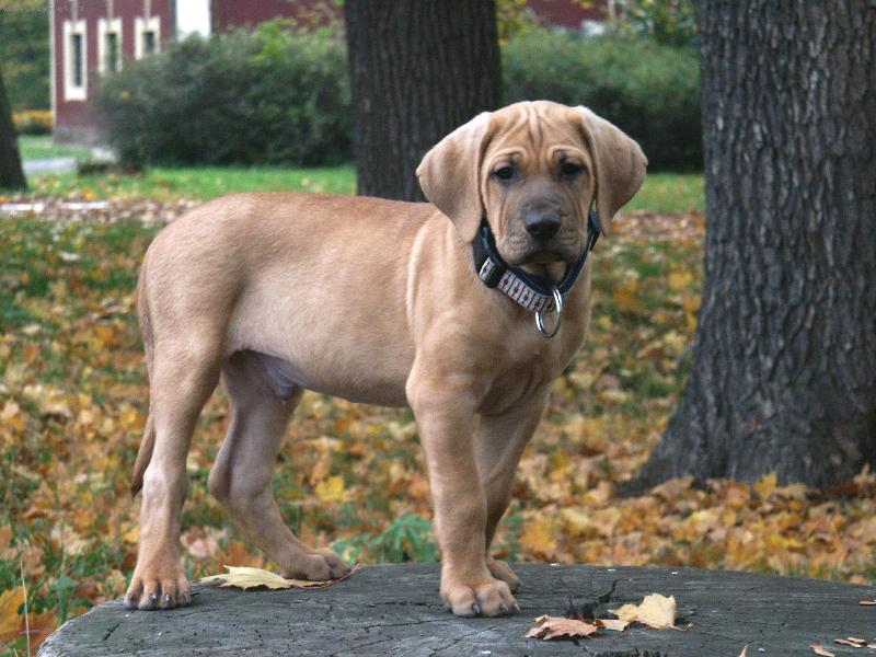 Foto: Baldey ze �pi��ku