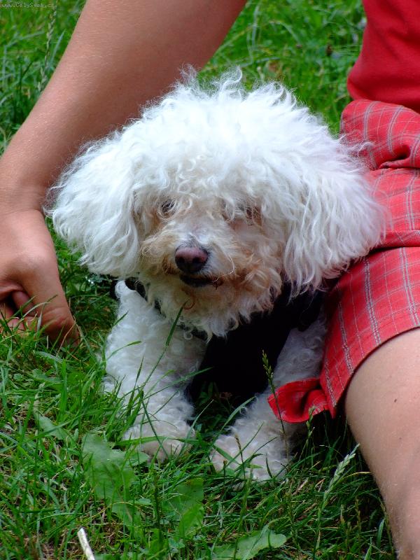 Foto: �moulinka-princezni�ka