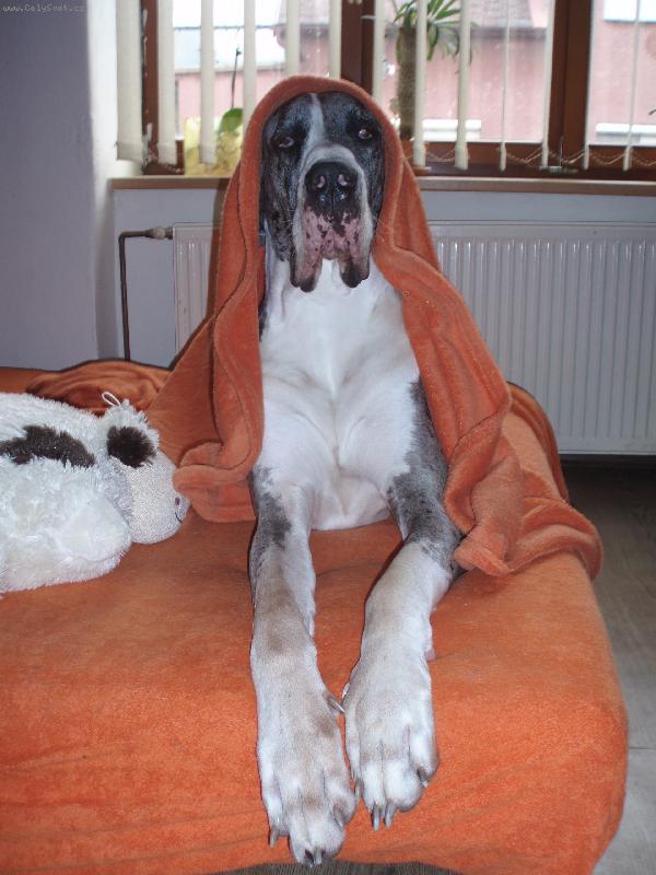 Foto: Dobr� r�no