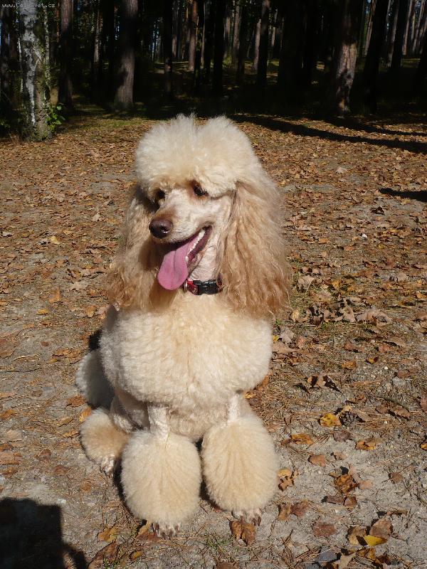 Foto: Jorica-Jur�ek na podzimn� vych�zce