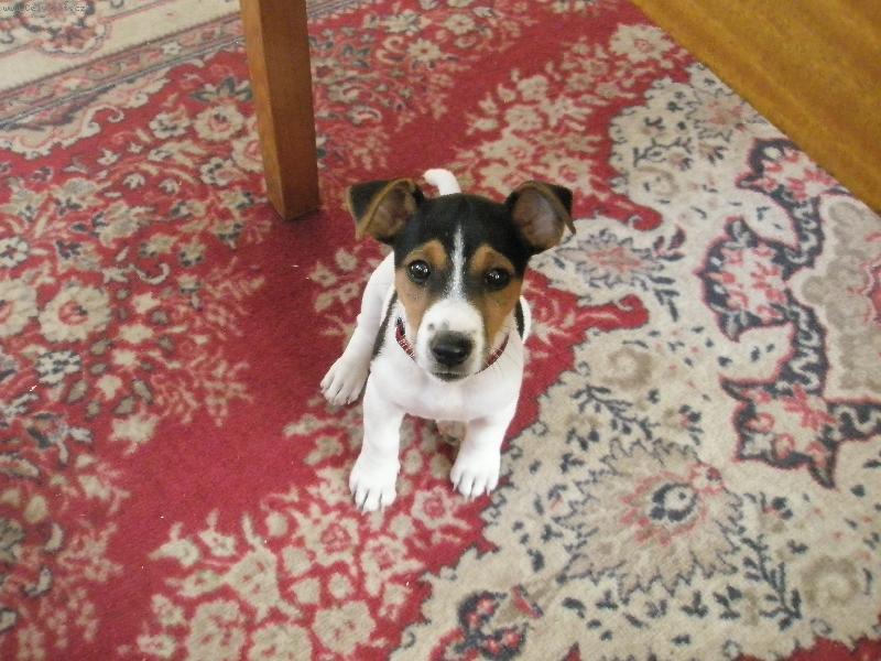 Foto: Rozinka-Tohle je moje mal� krasavice