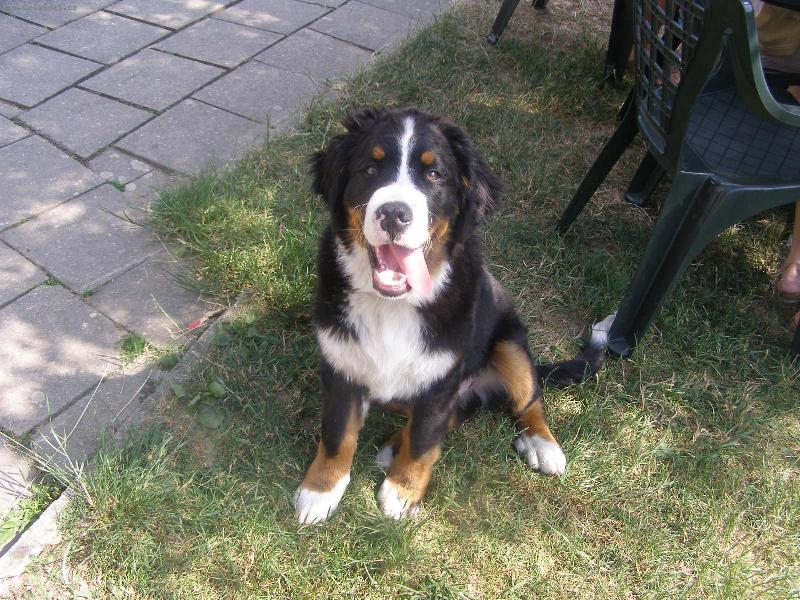 Foto: P�ekr�sn� �t���tko-Toto mal� kr�sn� �t��� je synem na�� ketinky