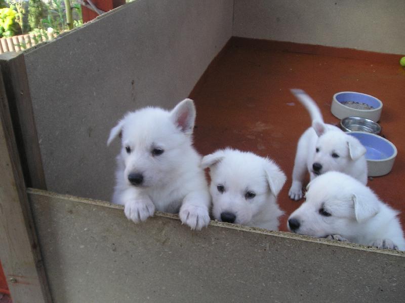 Foto: �t���tka