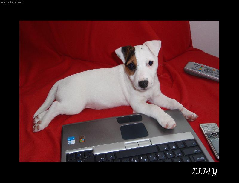 Foto: To surfov�n� je ale d�ina...