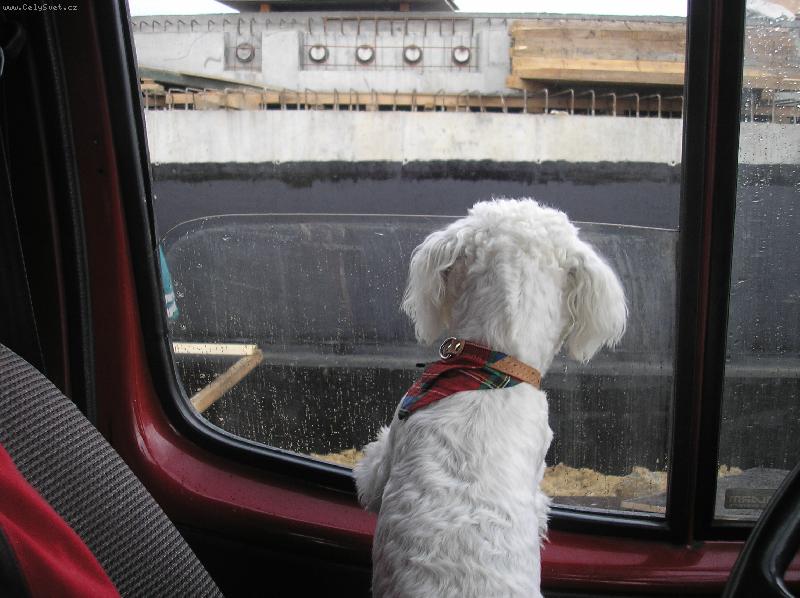 Foto: MIKI-d�l�m dozor p�ne�ek pracuje na most�