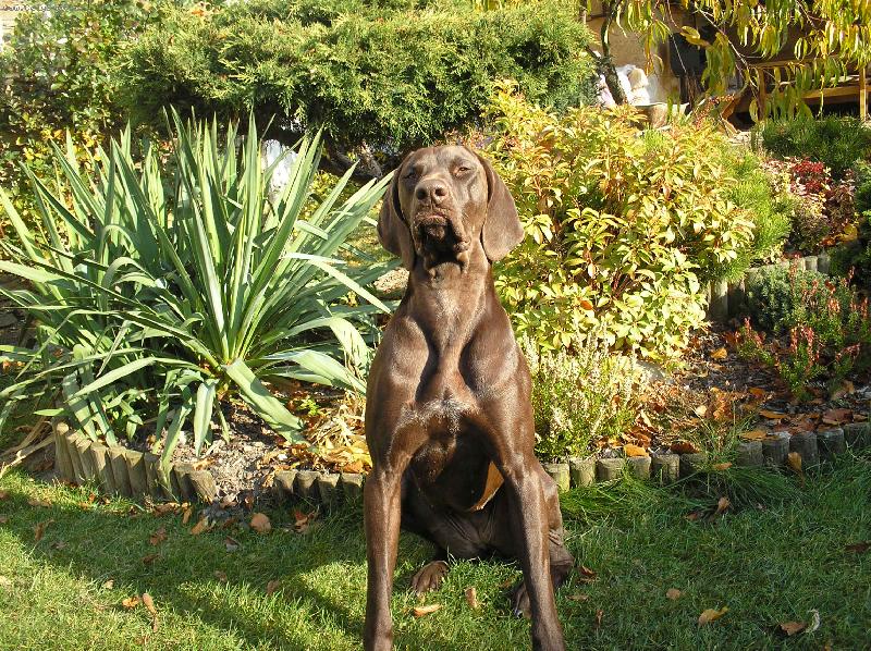 Foto: Odeta z �esk�ho lesa