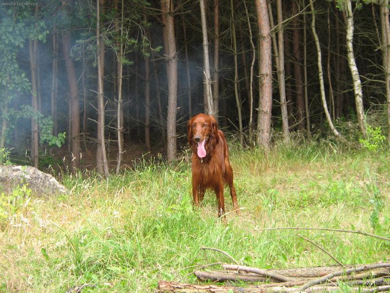 Foto: Mont�sek-je mi fajn