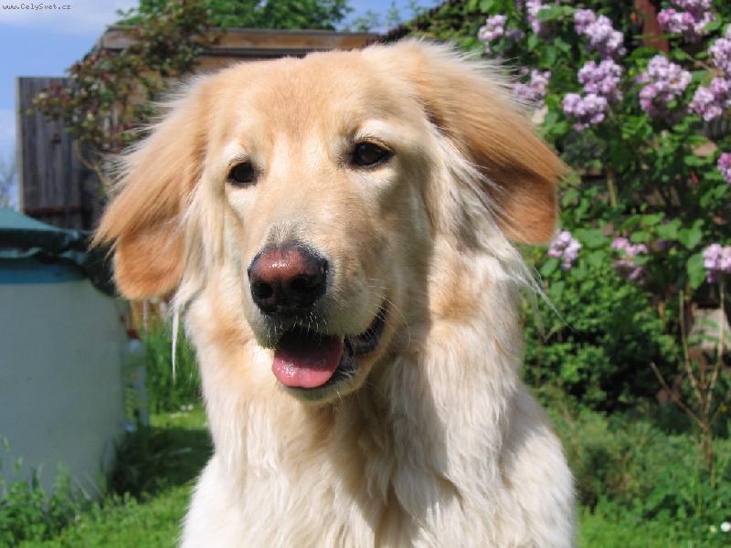 Foto: Fe�anda-Bona Dea Siderecan - Boninka