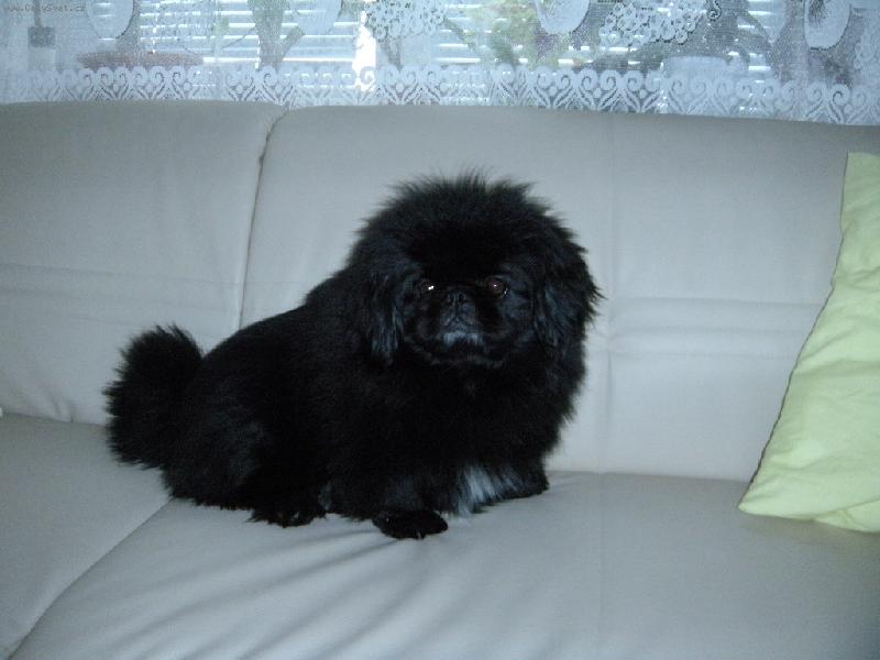 Foto: Kerou�ek-Kerry se d�v� ze seda�ky na televizi:-)