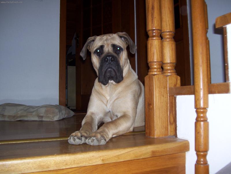 Foto: Nelly-Nelinka m� 10. m�s�c�