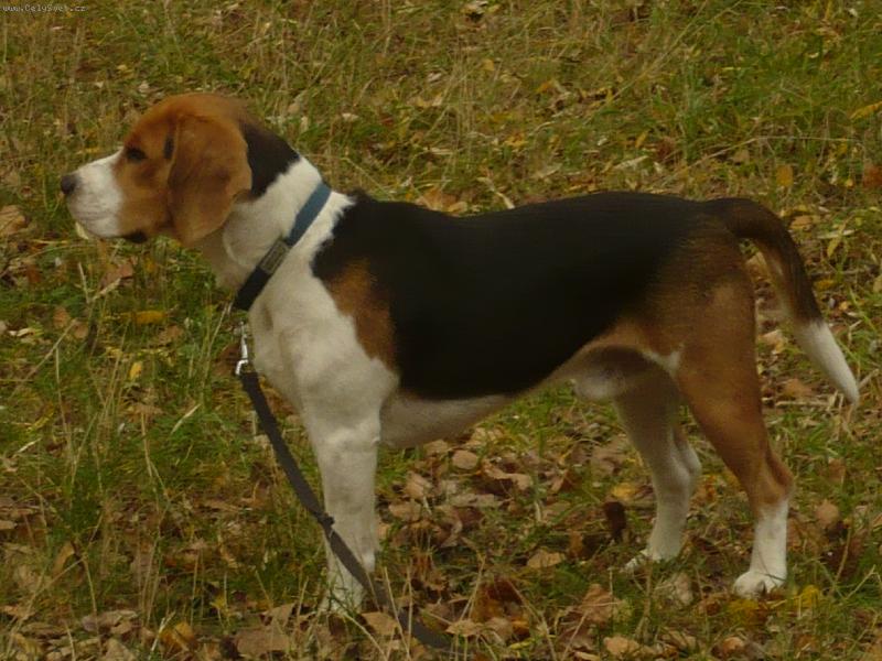 Foto: Billi�ek Olomouc 1rok-Bill��ek Olomouc 1rok