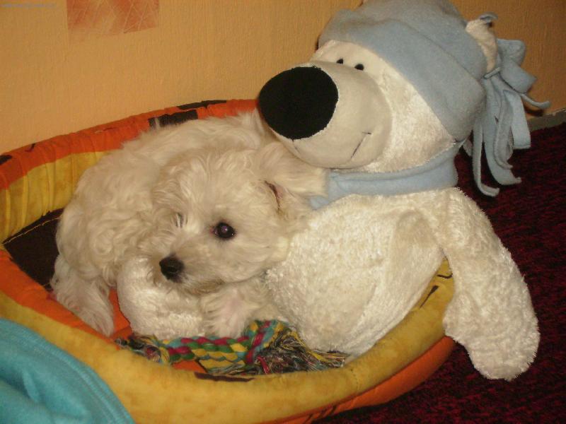 Foto: Mat�sek-Ten m�a je jen p�j�en�.....