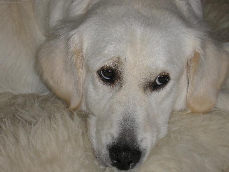 Foto: meggy-mazl�k