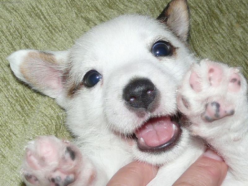 Foto: Berry od Andulky-Berr�sek na lopatk�ch