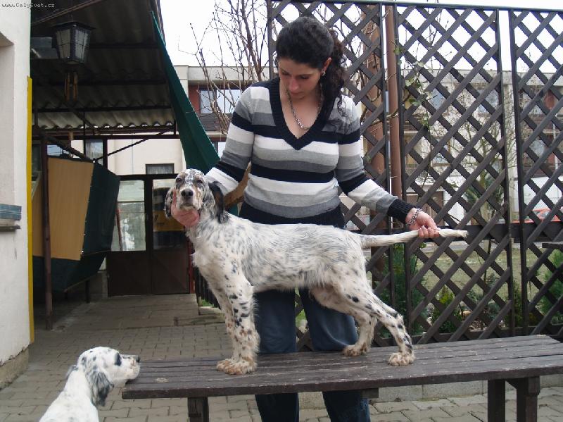 Foto: ENDY OD ALPSK�  PROT̎E