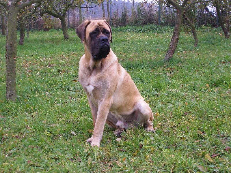 Foto: Tohle je moje zahrada!-N� mazl��ek p�ed rokem na zahrad�