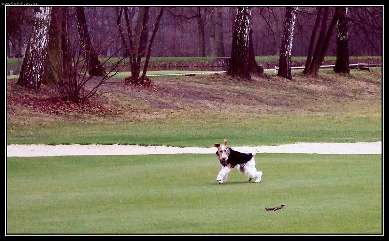 Foto: ben3 6_12_08-v parku