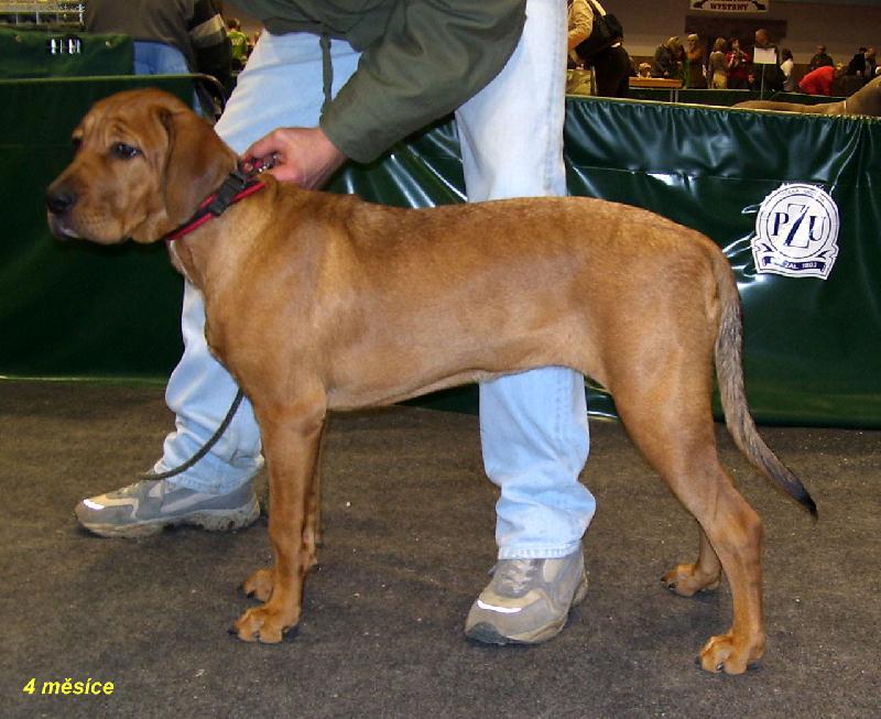 Foto: Airin - 4 m�s�ce-foto z v�stavy