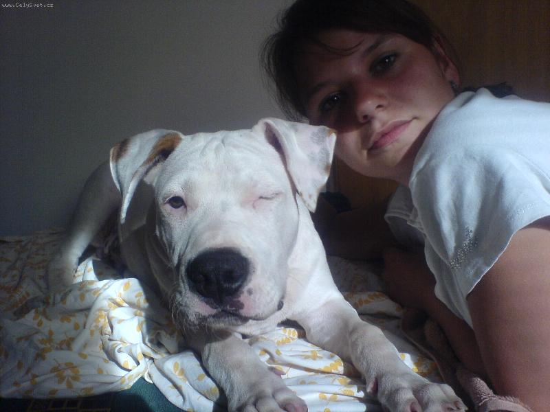 Foto: Spot-mrk sem:)  mrk tam:)