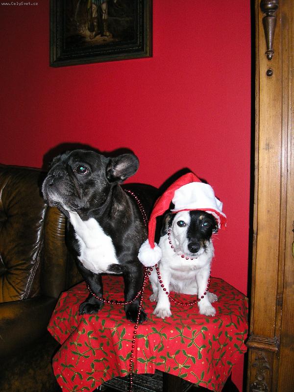 Foto: CAPKA Z ATAROVA DVORA-p�edv�no�n� s kamar�dkou