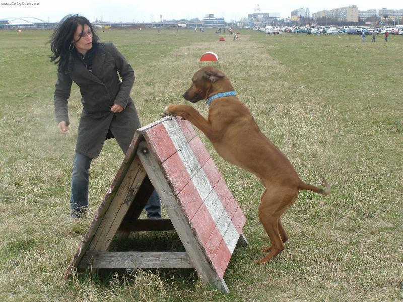 Foto: C�Chulo Magdahor , neboli �ulda, �ul�nek