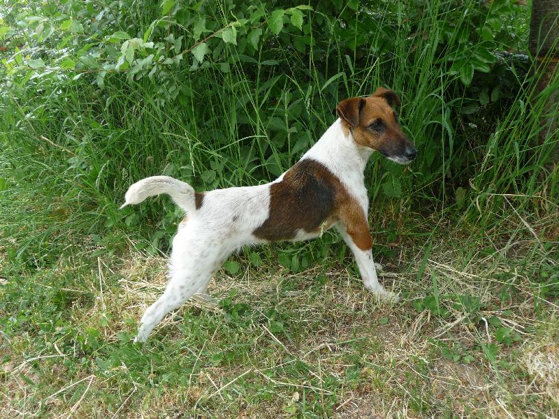 Foto: na�e Asta-na�e asta je hodn� fotogenick�