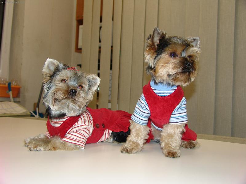 Foto: hod�me se k sob�-Timik s kamo�kou