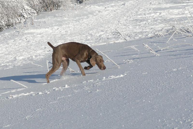 Foto: sn�h je prost� bo��-je mi sedm m�s�c�