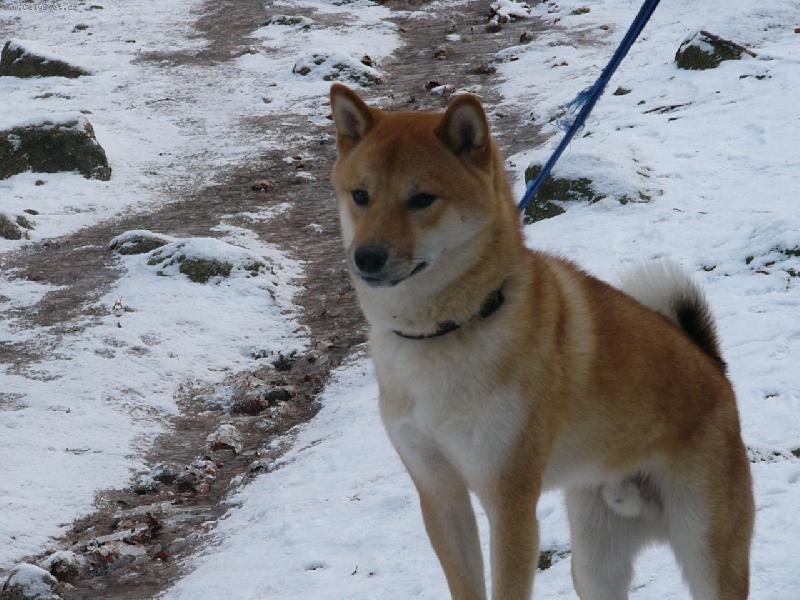 Foto: Criss Gama Gold-Takhle jsem velkej p�n :D