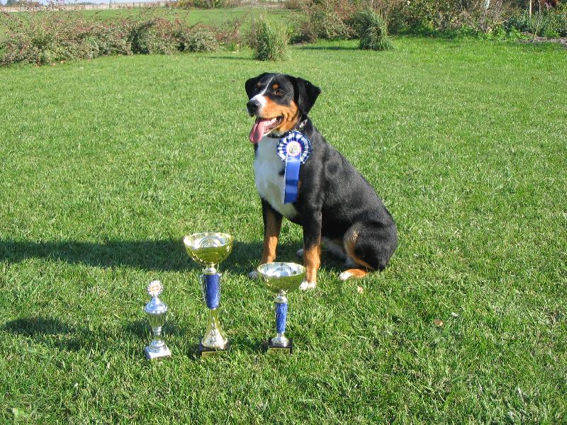 Foto: Citta ��astn� Berjanka BIS-Vi�azka �peci�lnej klubovej v�stavy!