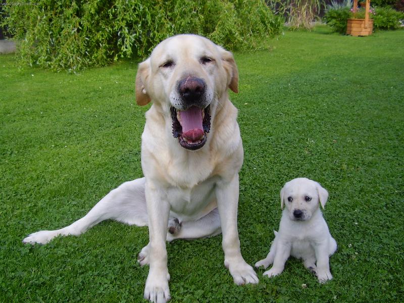 Foto: T�ta m� ale velkou tlamu