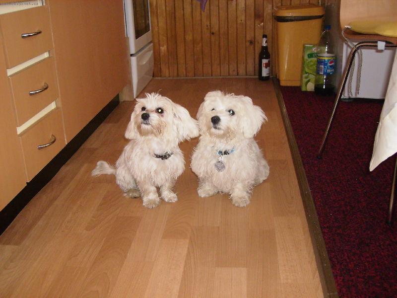 Foto: Mat�sek a Beky-Kdo je kluk a kdo holka?