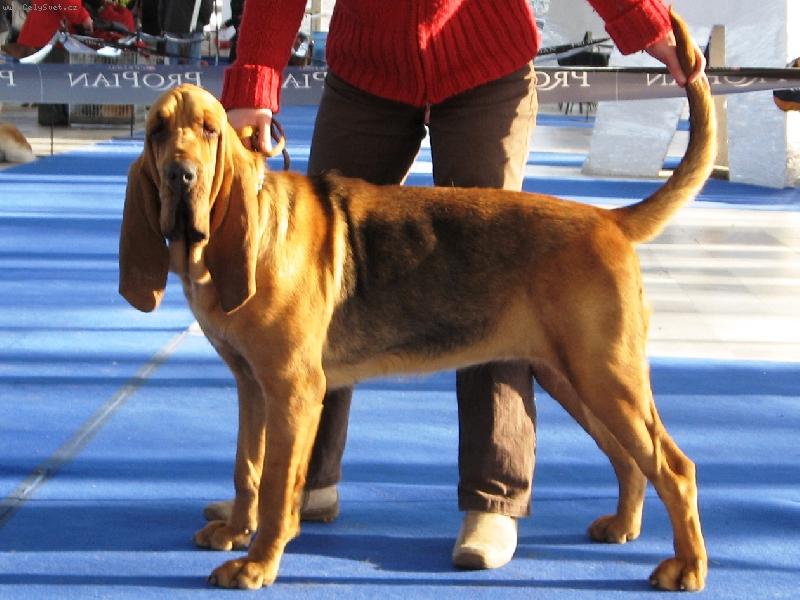 Foto: Ardenna Bascoretta - 1 rok-z v�stavy