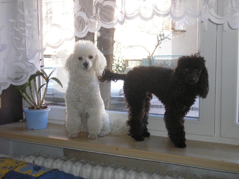 Foto: Mat�sea a Fil�pek