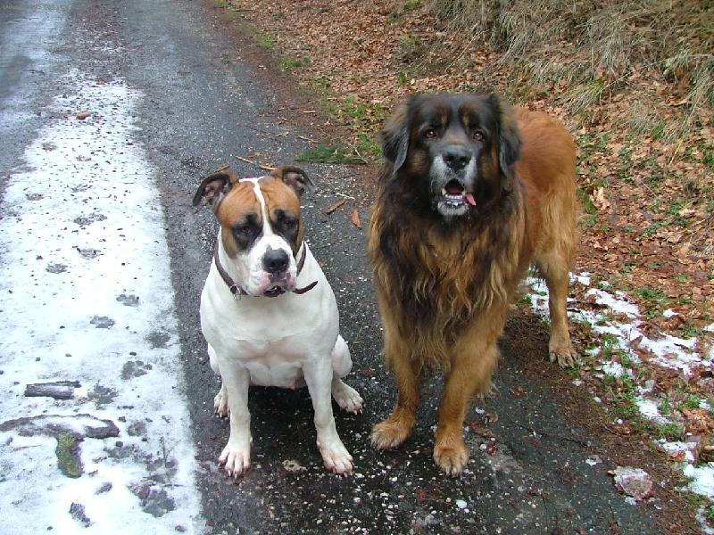 Foto: akim a jeho nejlepsi kamaradka ab roxana