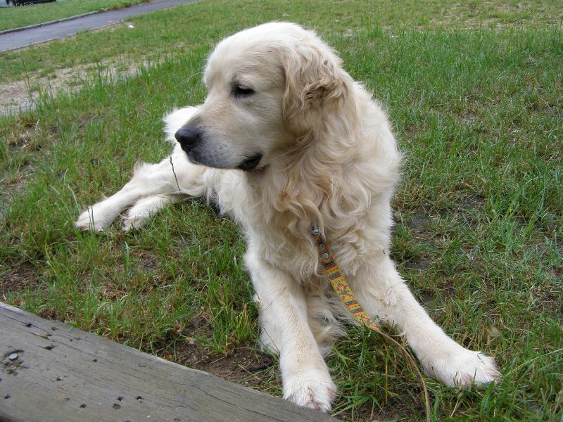 Foto: Brett je zp�tky doma 13.07.2008-Odpo��v�m