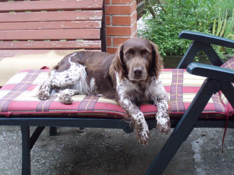 Foto: zaslou�en� odpo�inek-Lucinka