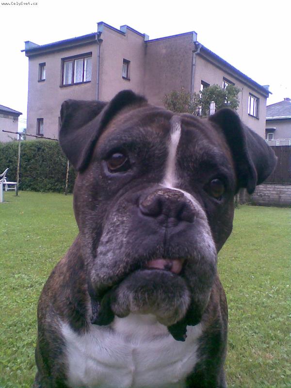 Foto: B�rny (12 let)-To je m�j nejmilovan�j�� d�dek..:o)