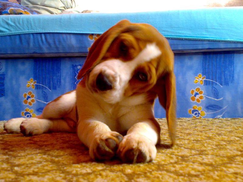 Foto: Maximili�n-Pohodi�ka cel� den