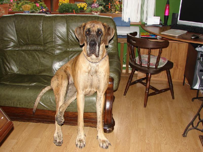 Foto: Catrey B��in sen