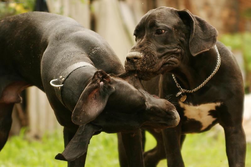 Foto: Rychle fo�!!! U� ho dlouho neudr��m ...