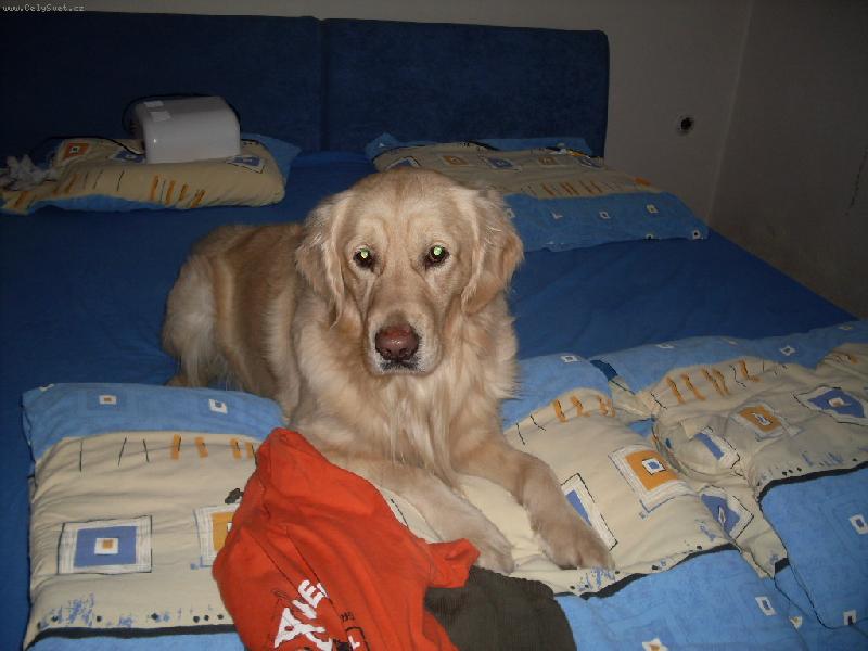 Foto: Bern�-Je to n� ���a...x)