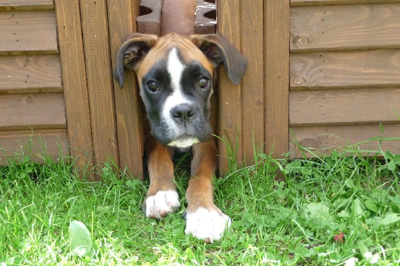 Foto: Ania mezi kv�tin��i