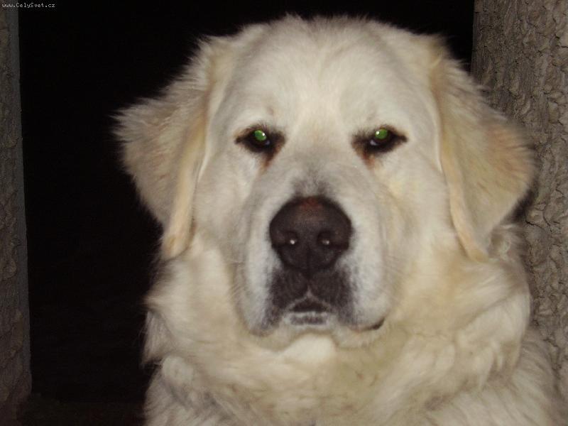 Foto: Ronny od ��slavi-Ronny od ��slavi