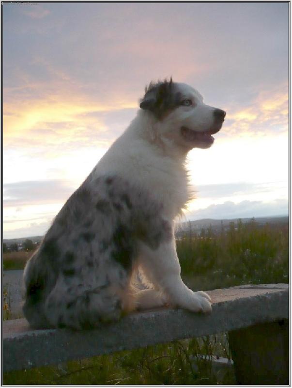 Foto: u� slun��ko zach�z�