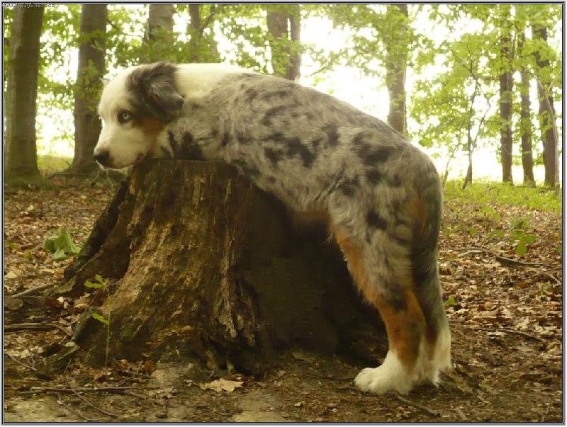 Foto: odpo��v�m