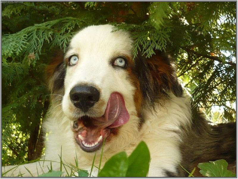 Foto: nemohu za to, �e je tak dlouh�