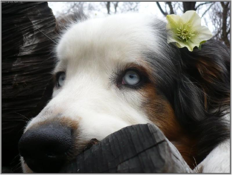 Foto: jarn� poselstv�