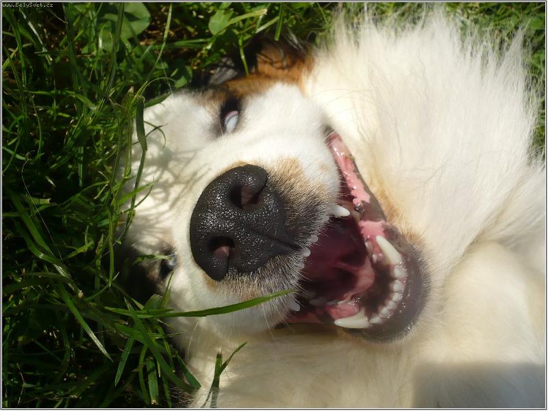 Foto: jsem ���pln� ne�kodnej